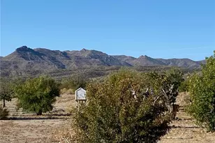 18013 Cholla Chuck Dr, Wikieup, AZ 85360 - Photo 47