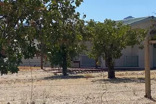 18013 Cholla Chuck Dr, Wikieup, AZ 85360 - Photo 3