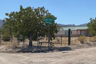 18013 Cholla Chuck Dr, Wikieup, AZ 85360 - Photo 45