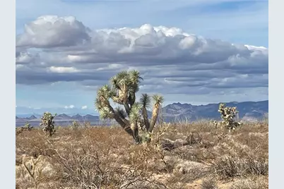 242-10-007 S Gene Autry Road, Yucca, AZ 86438 - Photo 3