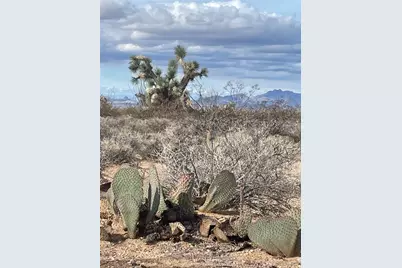 242-10-007 S Gene Autry Road, Yucca, AZ 86438 - Photo 19