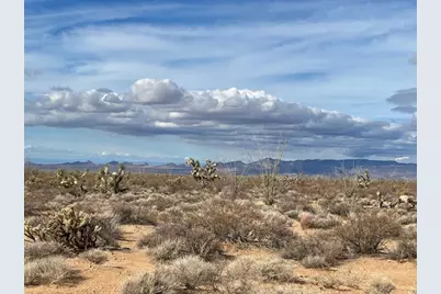 947 S Gene Autry, Yucca, AZ 86438 - Photo 7