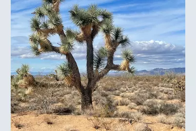 242-10-007 S Gene Autry Road, Yucca, AZ 86438 - Photo 1