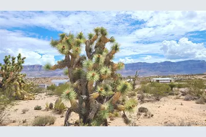 765 E Bishop Drive, Meadview, AZ 86444 - Photo 11