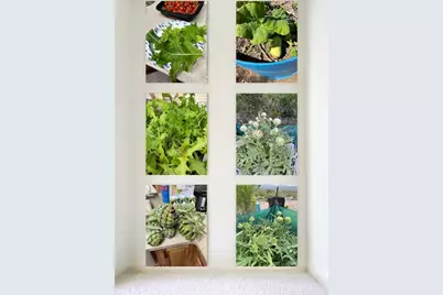 3650 S Blue Stone Road, Kingman, AZ 86401 - Photo 43