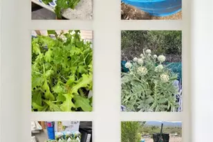 3650 S Blue Stone Rd, Kingman, AZ 86401 - Photo 43