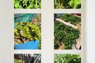 3650 S Blue Stone Rd, Kingman, AZ 86401 - Photo 41