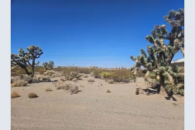 595 E Dellenbaugh Drive, Meadview, AZ 86444 - Photo 3