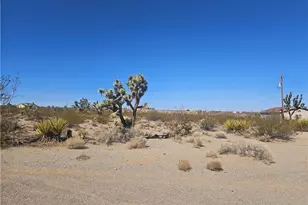 595 E Dellenbaugh Dr, Meadview, AZ 86444 - Photo 1