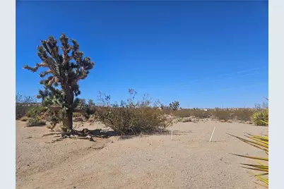 595 E Dellenbaugh Drive, Meadview, AZ 86444 - Photo 5