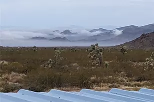 13505 S Alan Rd, Yucca, AZ 86438 - Photo 31