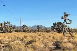 11328 S Kinard Rd, Yucca, AZ 86438 - Photo 31