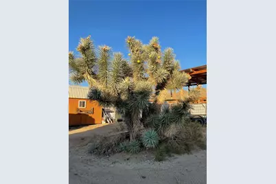 11328 S Kinard Road, Yucca, AZ 86438 - Photo 25