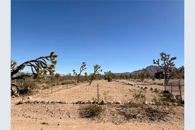 Lot 476 Mt Loco Drive, Dolan Springs, AZ 86441 - Photo 5