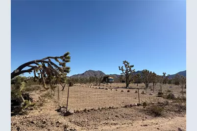 328-03-430 Mt Loco Drive, Dolan Springs, AZ 86441 - Photo 19