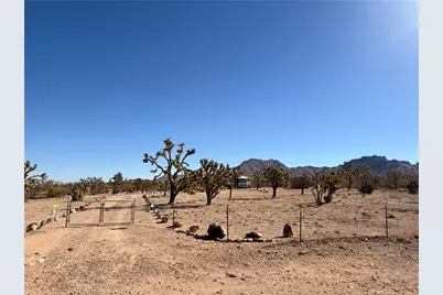 328-03-430 Mt Loco Drive, Dolan Springs, AZ 86441 - Photo 21