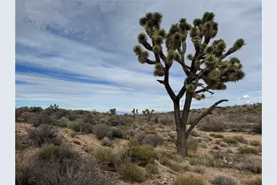 27335 N Pear Avenue, Meadview, AZ 86444 - Photo 11
