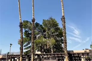 201 Riverfront Dr, Bullhead City, AZ 86442 - Photo 35