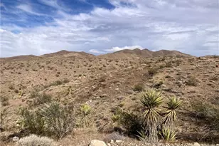 3-24 Moonlight Ranches, White Hills, AZ 86445 - Photo 1