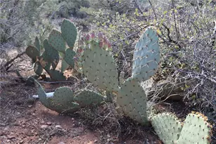 10387 E Amber Ct, Hackberry, AZ 86411 - Photo 39