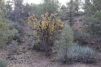 10387 E Amber Court, Hackberry, AZ 86411 - Photo 45