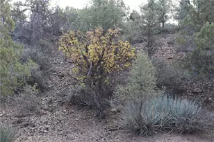 10387 E Amber Ct, Hackberry, AZ 86411 - Photo 45