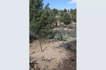 10387 E Amber Court, Hackberry, AZ 86411 - Photo 41