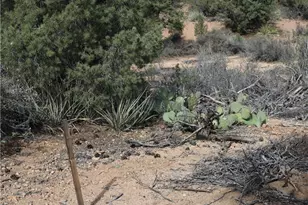 10387 E Amber Ct, Hackberry, AZ 86411 - Photo 41