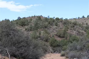 10387 E Amber Ct, Hackberry, AZ 86411 - Photo 47