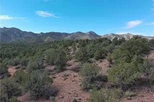 10387 E Amber Ct, Hackberry, AZ 86411 - Photo 53