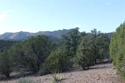 10387 E Amber Court, Hackberry, AZ 86411 - Photo 37