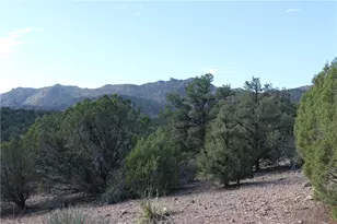 10387 E Amber Ct, Hackberry, AZ 86411 - Photo 37