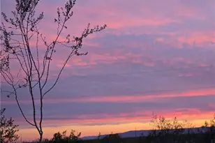 1460 S Egar, Golden Valley, AZ 86413 - Photo 5