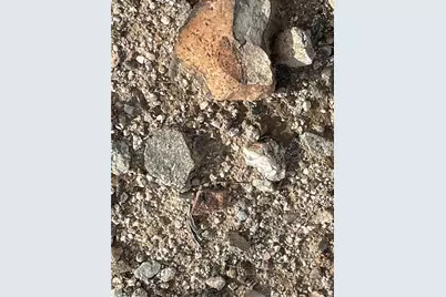 2100 S Lone Ranger, Yucca, AZ 86438 - Photo 11