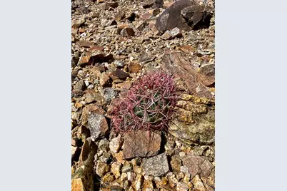 4.43 Acres Mountain S Date Creek Rd, Yucca, AZ 86438 - Photo 29