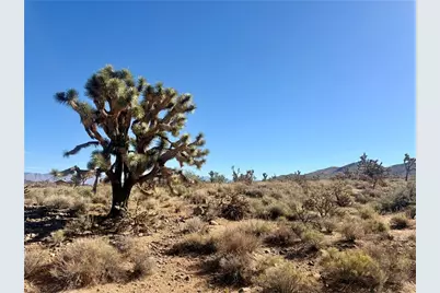 1.95 Ac 20th Street, Dolan Springs, AZ 86441 - Photo 5