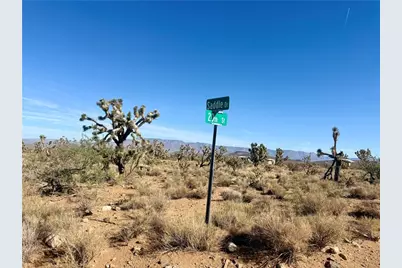 1.95 Ac 20th Street, Dolan Springs, AZ 86441 - Photo 3