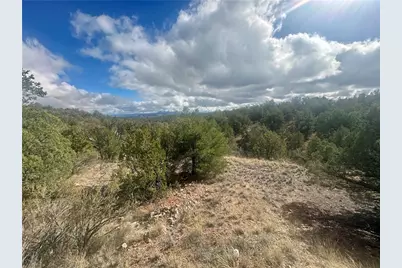 31900 W Bad Dog Road, Seligman, AZ 86337 - Photo 7