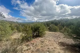 31900 W Bad Dog Rd, Seligman, AZ 86337 - Photo 7