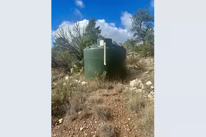 31900 W Bad Dog Road, Seligman, AZ 86337 - Photo 17