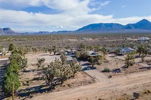 26226 N Tamarisk St, Meadview, AZ 86444 - Photo 39