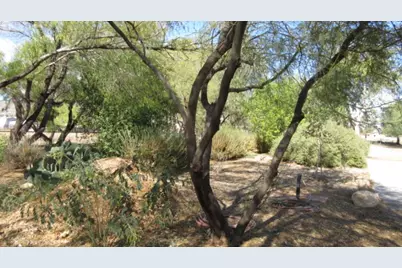 1929 E Morrow Avenue, Kingman, AZ 86409 - Photo 49