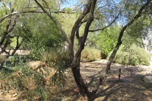1929 E Morrow Ave, Kingman, AZ 86409 - Photo 49