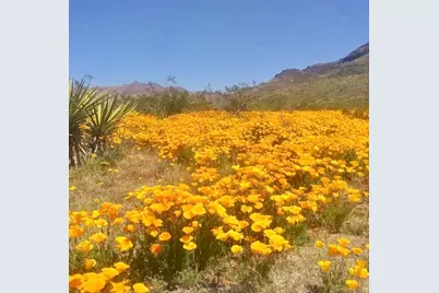 3758 W Redwall Drive, Golden Valley, AZ 86413 - Photo 43
