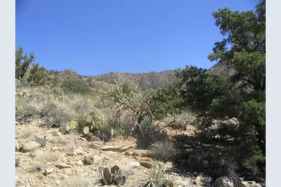 70 Peacock Ranch, Kingman, AZ 86401 - Photo 3