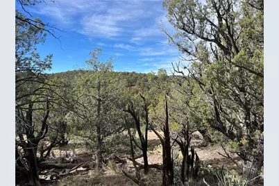 1022 N Duffi's Bluffs Road, Seligman, AZ 86337 - Photo 3