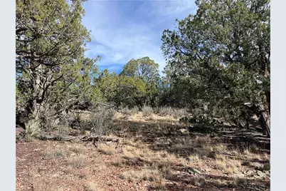 1022 N Duffi's Bluffs Road, Seligman, AZ 86337 - Photo 9