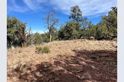 1022 N Duffi's Bluffs Road, Seligman, AZ 86337 - Photo 7