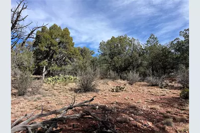 1022 N Duffi's Bluffs Road, Seligman, AZ 86337 - Photo 5