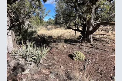 1022 N Duffi's Bluffs Road, Seligman, AZ 86337 - Photo 11